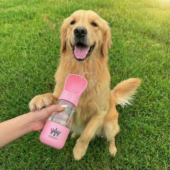 GoBowl™ - 2-in-1 Dog Water Bottle